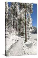 Mummelsee Lake in winter, Black Forest, Baden Wurttemberg, Germany, Europe-Markus Lange-Stretched Canvas