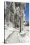 Mummelsee Lake in winter, Black Forest, Baden Wurttemberg, Germany, Europe-Markus Lange-Stretched Canvas