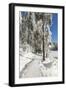 Mummelsee Lake in winter, Black Forest, Baden Wurttemberg, Germany, Europe-Markus Lange-Framed Photographic Print