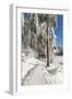 Mummelsee Lake in winter, Black Forest, Baden Wurttemberg, Germany, Europe-Markus Lange-Framed Photographic Print
