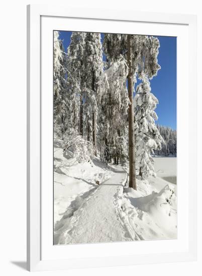 Mummelsee Lake in winter, Black Forest, Baden Wurttemberg, Germany, Europe-Markus Lange-Framed Photographic Print