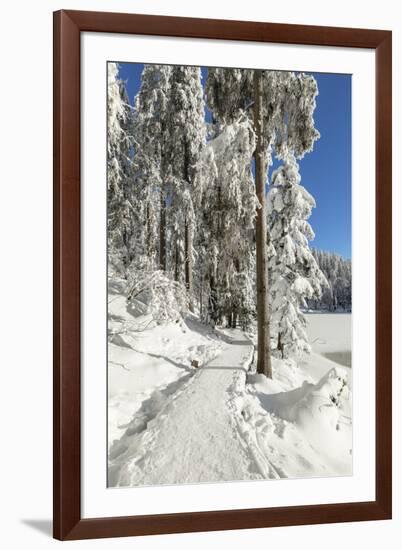 Mummelsee Lake in winter, Black Forest, Baden Wurttemberg, Germany, Europe-Markus Lange-Framed Photographic Print