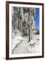 Mummelsee Lake in winter, Black Forest, Baden Wurttemberg, Germany, Europe-Markus Lange-Framed Photographic Print