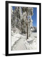 Mummelsee Lake in winter, Black Forest, Baden Wurttemberg, Germany, Europe-Markus Lange-Framed Photographic Print