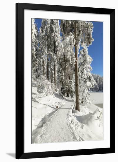 Mummelsee Lake in winter, Black Forest, Baden Wurttemberg, Germany, Europe-Markus Lange-Framed Photographic Print