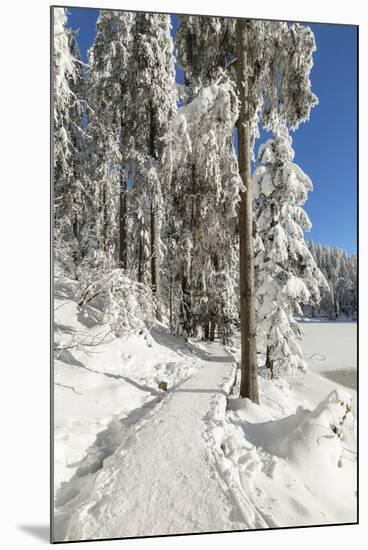 Mummelsee Lake in winter, Black Forest, Baden Wurttemberg, Germany, Europe-Markus Lange-Mounted Photographic Print