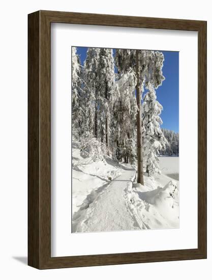 Mummelsee Lake in winter, Black Forest, Baden Wurttemberg, Germany, Europe-Markus Lange-Framed Photographic Print