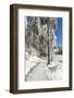 Mummelsee Lake in winter, Black Forest, Baden Wurttemberg, Germany, Europe-Markus Lange-Framed Photographic Print