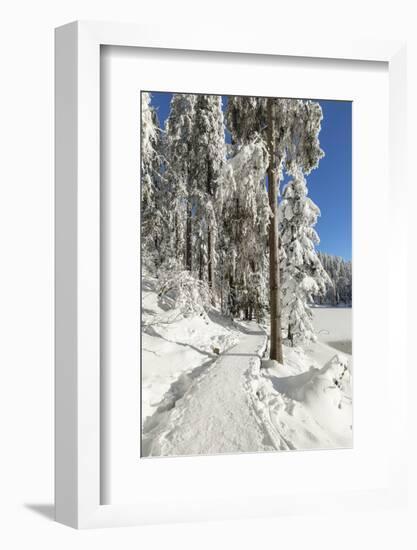 Mummelsee Lake in winter, Black Forest, Baden Wurttemberg, Germany, Europe-Markus Lange-Framed Photographic Print