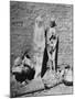 Mummies at Excavation Site-null-Mounted Photographic Print