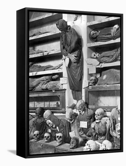 Mummies in the Palermo Catacombs, Italy-Giorgio Sommer-Framed Stretched Canvas