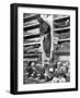 Mummies in the Palermo Catacombs, Italy-Giorgio Sommer-Framed Photographic Print