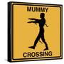 Mummy Crossing-Tina Lavoie-Framed Stretched Canvas