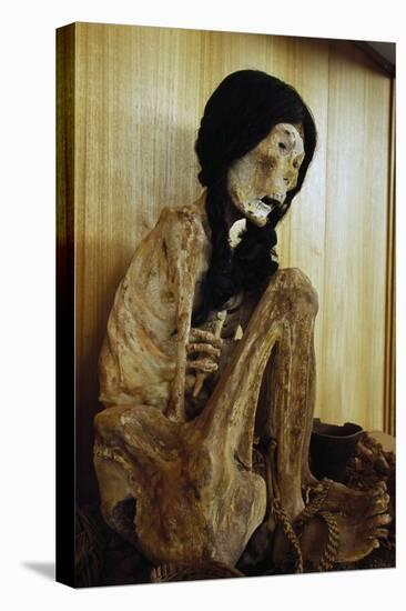 Mummy known as Miss Chile, from San Pedro De Atacama, Chile, 500 BC-null-Stretched Canvas