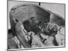 Mummy of Ramses II King of 19Th Dynasty of Egypt-null-Mounted Photographic Print