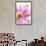 Mums flowers against a white background-null-Framed Premium Photographic Print displayed on a wall