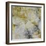 Mums in Sun I-James Burghardt-Framed Art Print