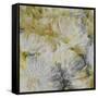 Mums in Sun I-James Burghardt-Framed Stretched Canvas