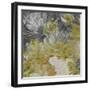 Mums in Sun III-James Burghardt-Framed Art Print