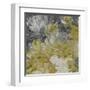 Mums in Sun III-James Burghardt-Framed Art Print