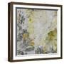 Mums in Sun IV-James Burghardt-Framed Art Print