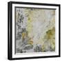 Mums in Sun IV-James Burghardt-Framed Art Print