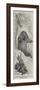 Munchausen and the Bear-null-Framed Giclee Print