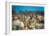 Mundari-Svetlin Yosifov-Framed Giclee Print