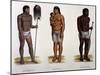 Mundrucu, Uainuma and Puru Natives, Brazil-null-Mounted Giclee Print