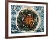 Mundus Subterraneus, 1664-Science Source-Framed Giclee Print