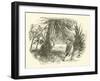 Mungo Park in Africa-null-Framed Giclee Print