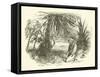 Mungo Park in Africa-null-Framed Stretched Canvas