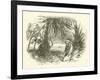 Mungo Park in Africa-null-Framed Giclee Print