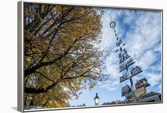 Munich, Bavaria, Germany, Maypole at the Viktualienmarkt (Food Market-Bernd Wittelsbach-Framed Photographic Print