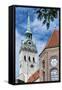 Munich, Bavaria, Germany, View to St. Peter's Church from the Viktualienmarkt (Food Market)-Bernd Wittelsbach-Framed Stretched Canvas