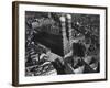 Munich Cathedral-null-Framed Photographic Print