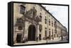 Munich Residenz, the Residence and Former Royal Palace of Bavarian Monarchs, Today a Museum-Stuart Forster-Framed Stretched Canvas