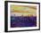 Munich Skyline with Burning Sky at Sunset-Markus Bleichner-Framed Art Print