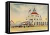 Municipal Airport, Houston, Texas-null-Framed Stretched Canvas