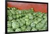 Municipal Market Watermelons for Sale, Manaus, Amazon, Brazil-Cindy Miller Hopkins-Framed Photographic Print