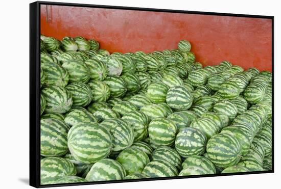 Municipal Market Watermelons for Sale, Manaus, Amazon, Brazil-Cindy Miller Hopkins-Framed Stretched Canvas