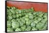 Municipal Market Watermelons for Sale, Manaus, Amazon, Brazil-Cindy Miller Hopkins-Framed Stretched Canvas