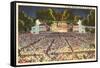 Municipal Opera, St. Louis, Missouri-null-Framed Stretched Canvas