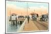 Municipal Pier, St. Petersburg, Florida-null-Mounted Art Print