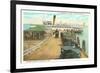 Municipal Pier, St. Petersburg, Florida-null-Framed Premium Giclee Print