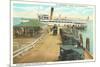 Municipal Pier, St. Petersburg, Florida-null-Mounted Premium Giclee Print