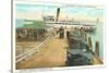 Municipal Pier, St. Petersburg, Florida-null-Stretched Canvas