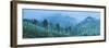 Munnar, Western Ghats Mountains, Kerala, India, Asia-Photo Escapes-Framed Photographic Print