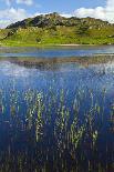 Dail Beag Loch, Lewis, Outer Hebrides, Scotland, UK, June 2009-Muñoz-Photographic Print