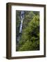 Munson Creek Falls near Tillamook, Oregon, USA-Chuck Haney-Framed Photographic Print